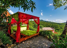Tropical Paradise View