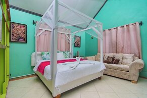 Tropical Paradise View