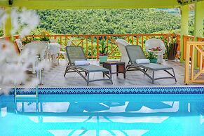 Tropical Paradise View