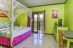 Tropical Paradise View