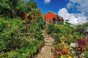 Tropical Paradise View