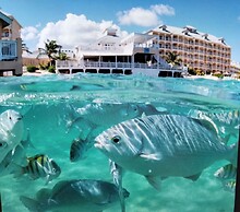 Morritts Tortuga Club