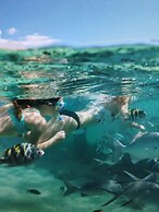 Morritts Tortuga Club