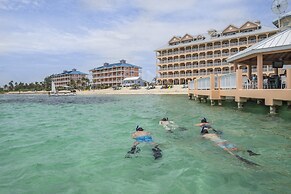 Morritts Tortuga Club