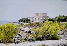 Morritts Tortuga Club