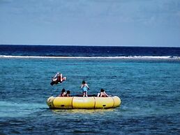 Morritts Tortuga Club