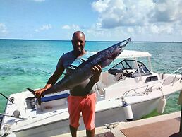 Morritts Tortuga Club