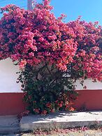 Hotel Posada Camelinas