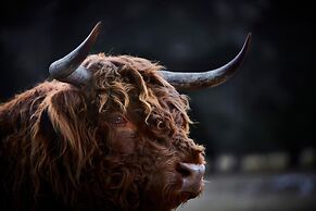 Kaituna Valley Homestead