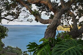 Auckland Clifftop