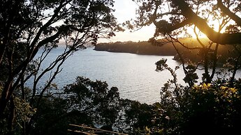 Auckland Clifftop