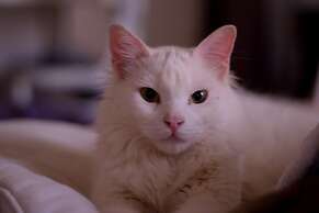 Lee's House Bed & Breakfast Sliema