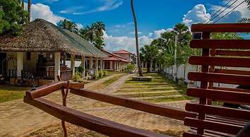 Palm Resort Nilaveli