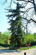 Il Giardino nel Parco R&B