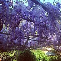 Il Giardino nel Parco R&B