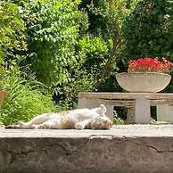 Il Giardino nel Parco R&B