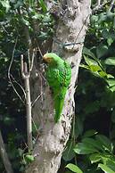 Il Giardino nel Parco R&B