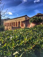 Agriturismo Tenuta Lupinari