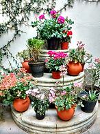 Hostal las Americas - Hostel