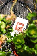 Hostal las Americas - Hostel