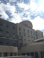 Hilton Garden Inn Dallas/Arlington South