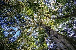 Pedra Afiada Refúgio Ecológico
