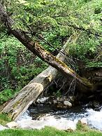 Treehouse by the Stream