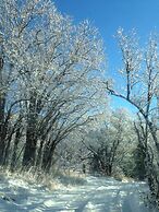Treehouse by the Stream