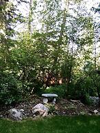 Treehouse by the Stream