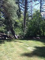 Treehouse by the Stream