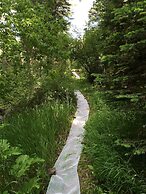 Treehouse by the Stream