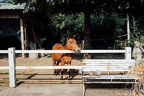 Scenic Riverside Resort