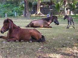 Scenic Riverside Resort