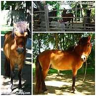 Scenic Riverside Resort