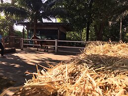 Scenic Riverside Resort