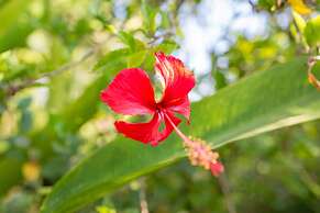 Sambor Village Hotel