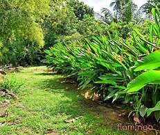 ClarenceVille Villa Apartments