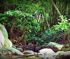 ClarenceVille Villa Apartments