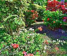 ClarenceVille Villa Apartments