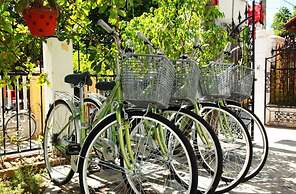 Sunny Garden Homestay