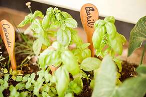 The  Secret  Garden  Hotel  Moshi