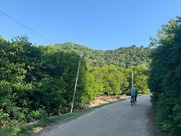 Phi Phi Little Star Resort