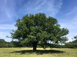 Remarc House Stansted