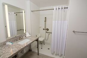 Hilton Garden Inn Tampa Suncoast Parkway