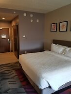 Hilton Garden Inn Tampa Suncoast Parkway