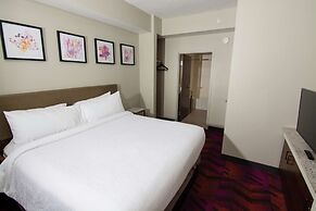 Hilton Garden Inn Tampa Suncoast Parkway