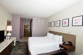 Hilton Garden Inn Tampa Suncoast Parkway