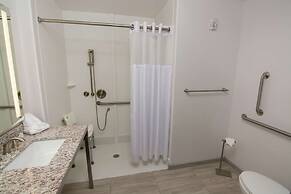 Hilton Garden Inn Tampa Suncoast Parkway