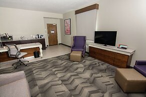 Hilton Garden Inn Tampa Suncoast Parkway