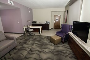 Hilton Garden Inn Tampa Suncoast Parkway